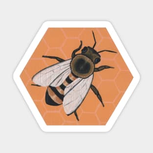 Honey Bee Sticker